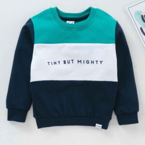 Full Sleeves Sweatshirt Text Print
