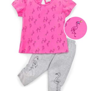 Half Sleeves Top And Pant Flamingo Print