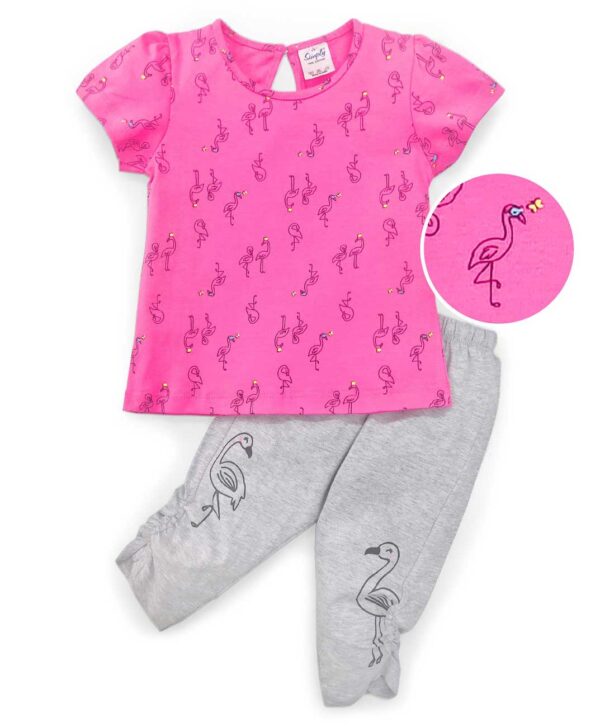 Half Sleeves Top And Pant Flamingo Print